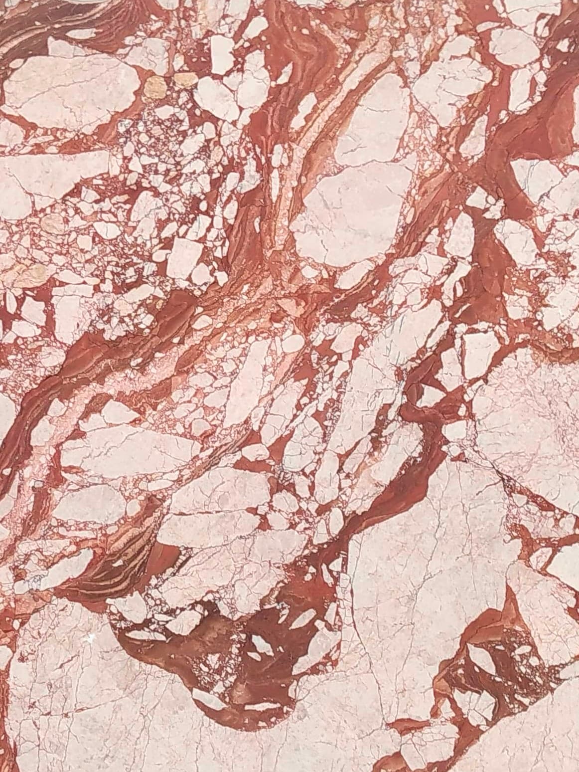 Breccia Almeria closeup